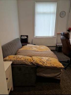 Sofabed with well-padded cushion
